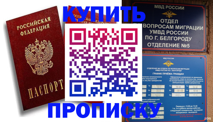 прописка иностранных граждан в Владимире